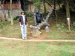 The Gorilla Mountains in Uganda