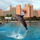 Atlantis Resort and Casino