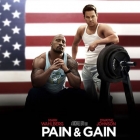 Pain and Gain 2013