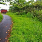 Hawaiian Most Expensive Cottage