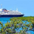  Top 10 Cruise lines