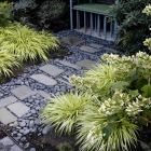 Plants And Ground Covers For Your Paths And Walkways