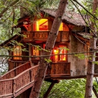  The Best Treehouse Hotels of Summer 2018
