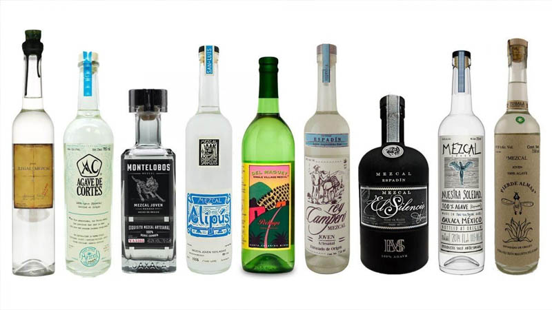  The 06 Best Mezcal Brands to Drink Right Now