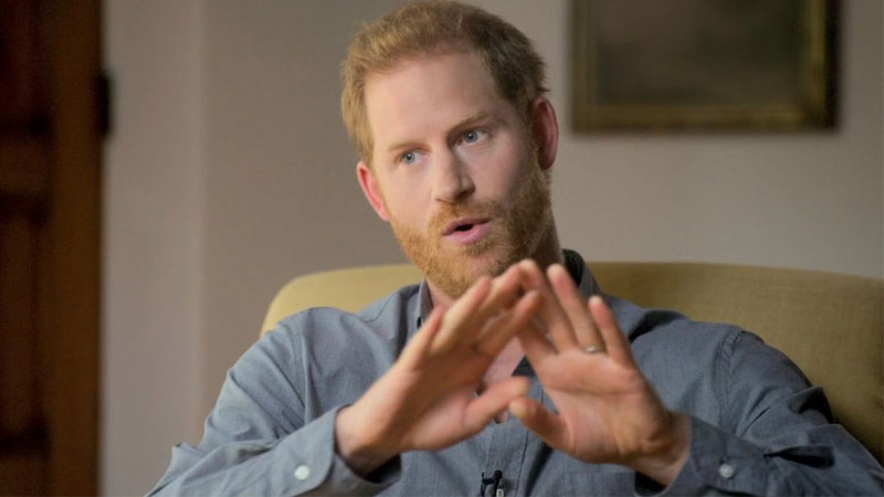  Prince Harry Has No ‘Plan B’: Patching Things Up with Royals Is the Only Way, Says Royal Expert
