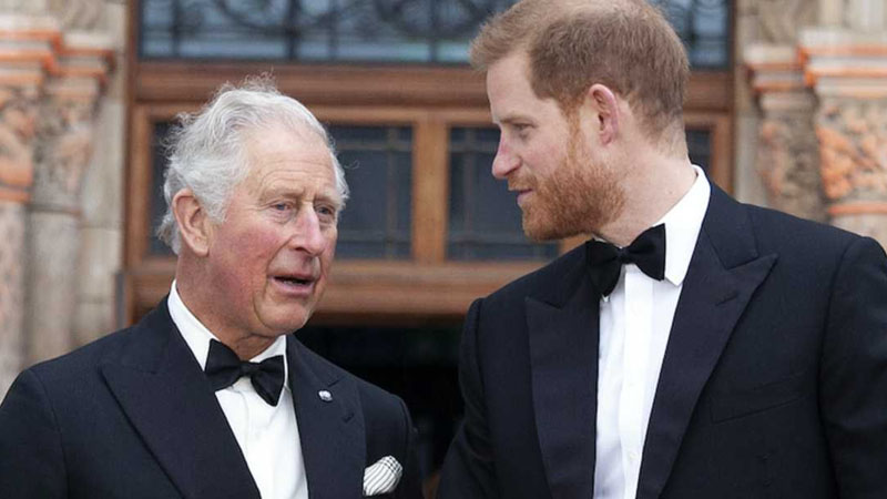  Prince Charles & Prince Harry Are Reportedly Back on Speaking Terms