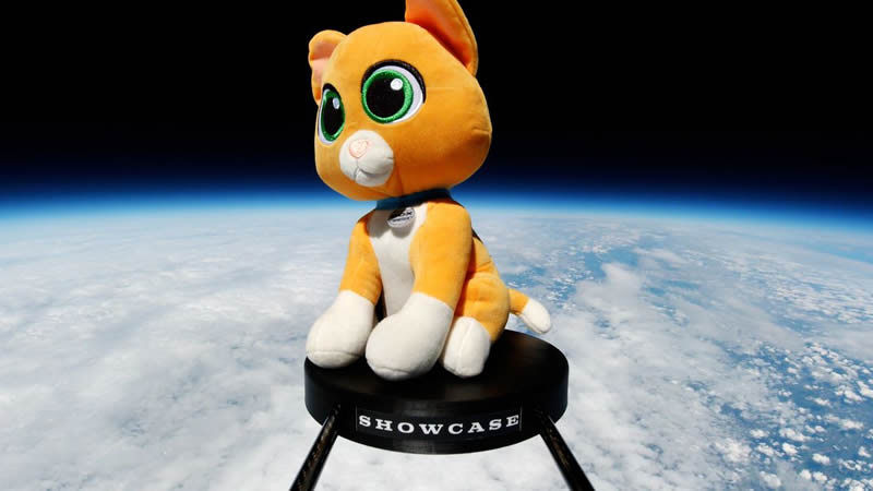  Buzz Lightyear’s stuffed cat sidekick “Sox” was launched into orbit by UK