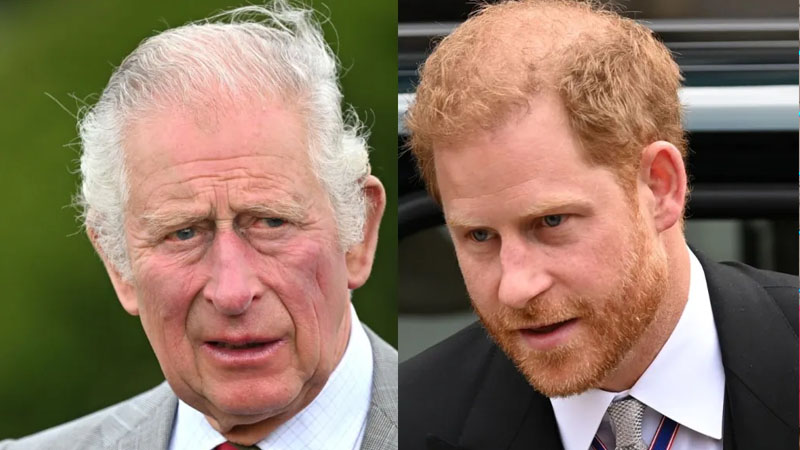  Experts deny Prince Harry’s accusation against Charles and Diana