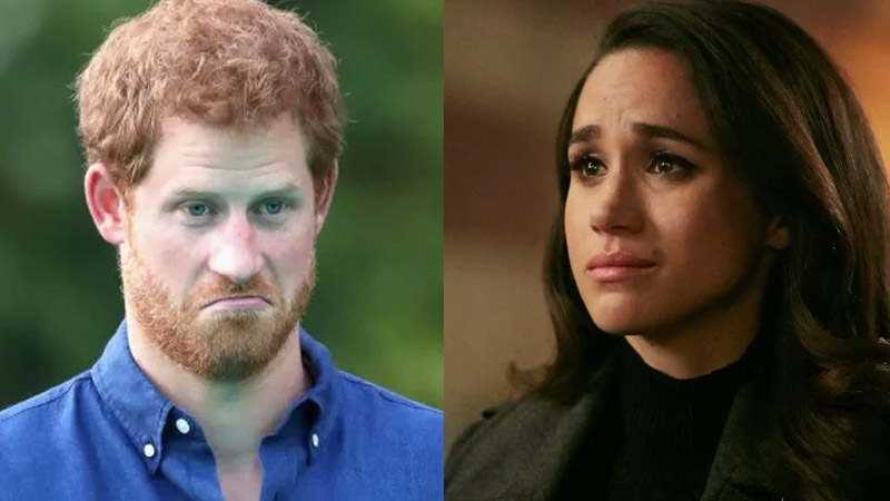 Prince Harry and Meghan Markle ‘don’t really care about charity’: ‘Frightfully awkward’