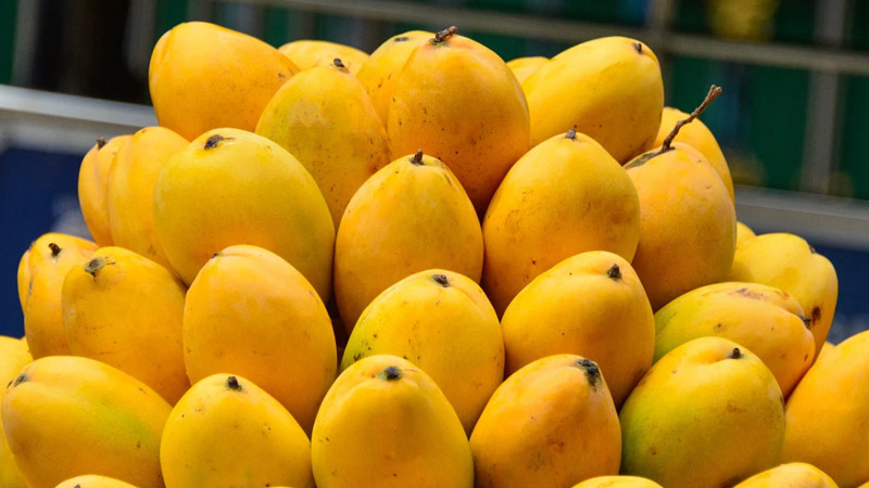  5 Potential Side Effects of Overeating Mangoes