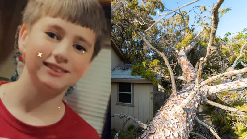  13-Year-Old Tragically Killed When Tree Falls On Him During Hurricane Debby