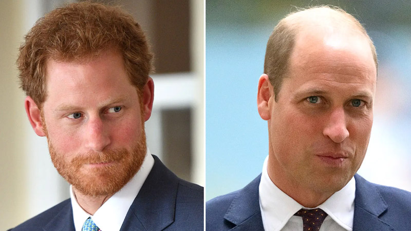  Experts Reflect on Prince Harry’s ‘Sad’ Estrangement from Prince William