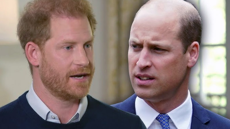  Prince William Reportedly Relieved Over Prince Harry’s Visa Win in the US