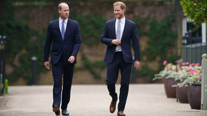  Royal expert shares major claim about Prince William and Prince Harry’s reunion