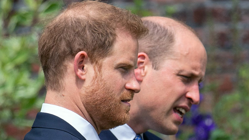  Expert Claims King Remains Silent, But Prince William Struggles to Forgive Harry’s Attacks on Catherine